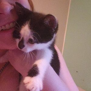 Meet your Posher, Mackenzie